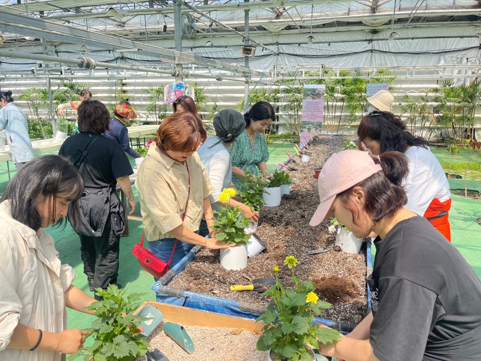 엄마들의 힐링 프로그램 화분에 꽃심기